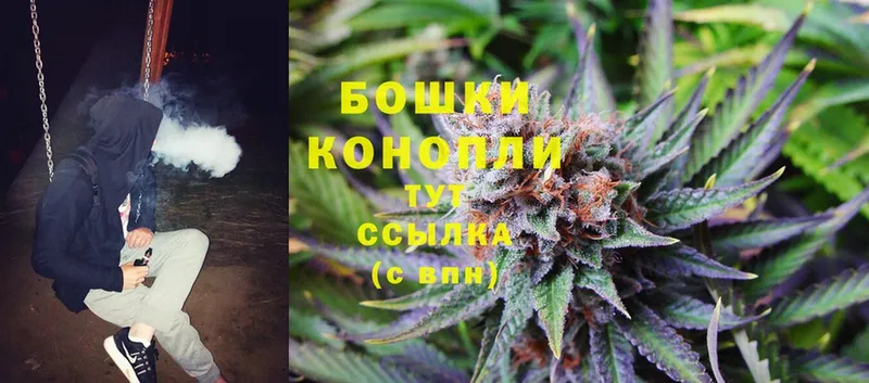 МЕГА ТОР  Белая Холуница  Бошки марихуана SATIVA & INDICA 